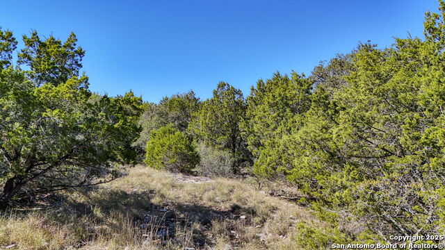 Image 23 of 29 For 24707 Creek Loop