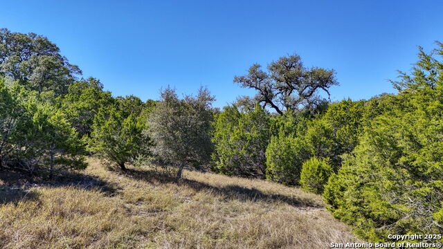 Image 24 of 29 For 24707 Creek Loop