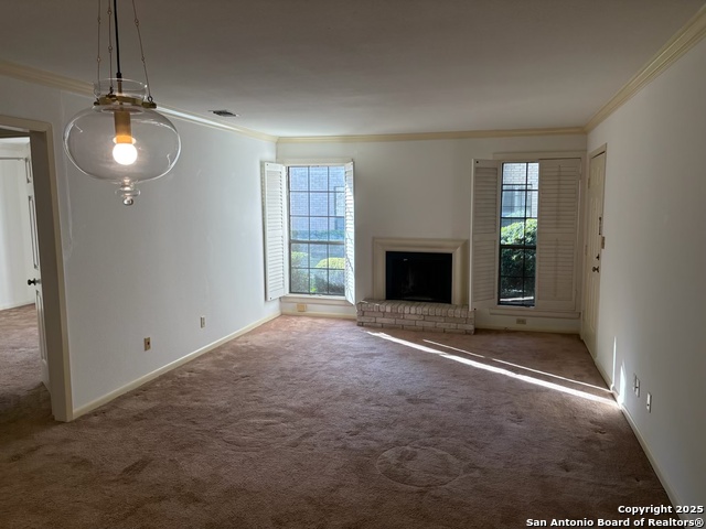 Image 4 of 17 For 2611 Eisenhauer  1502