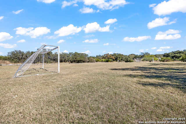 Image 45 of 46 For 318 Legend Brz