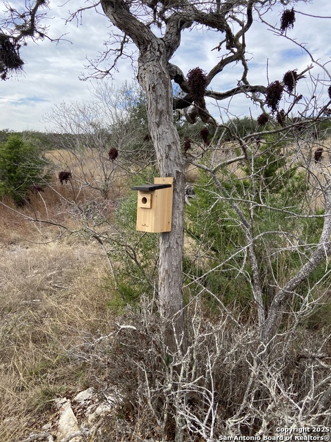 Image 12 of 14 For 1629 Canyon