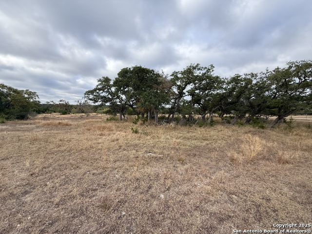 Image 8 of 14 For 1629 Canyon