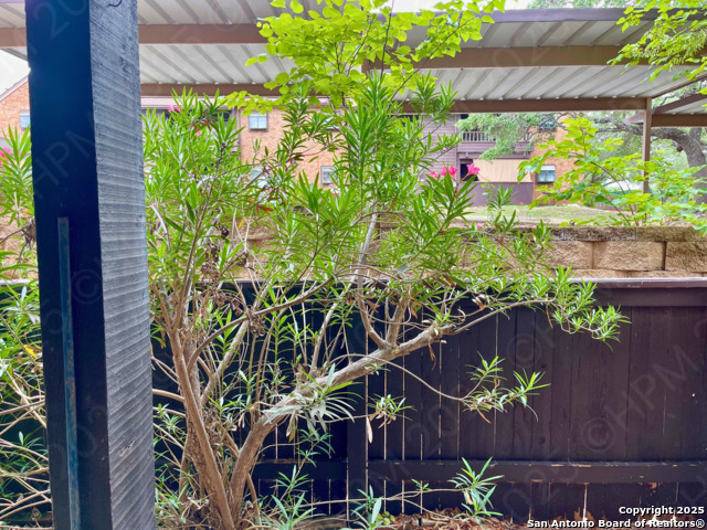 Image 12 of 17 For 4212 Medical Dr  401