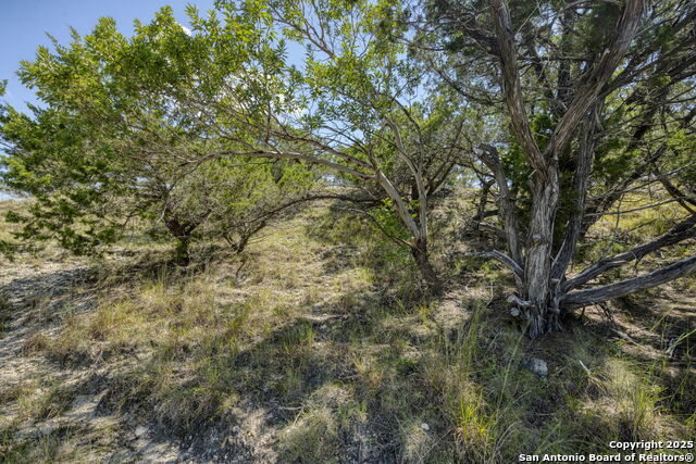 Image 62 of 105 For 305 Spanish Pass