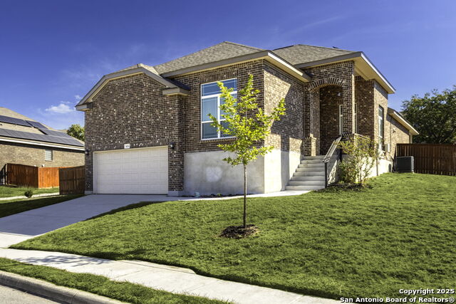 Image 3 of 26 For 4834 Blue Jasmine