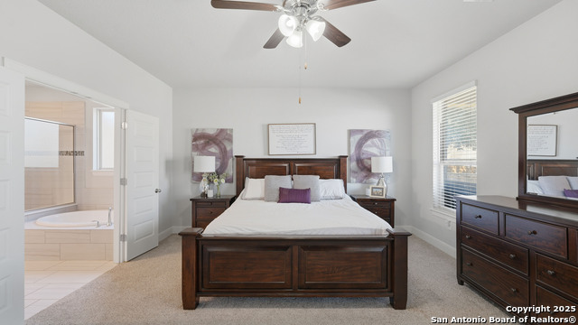 Image 12 of 27 For 255 Bamberger