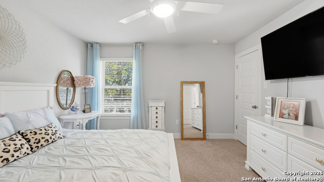 Image 17 of 27 For 255 Bamberger