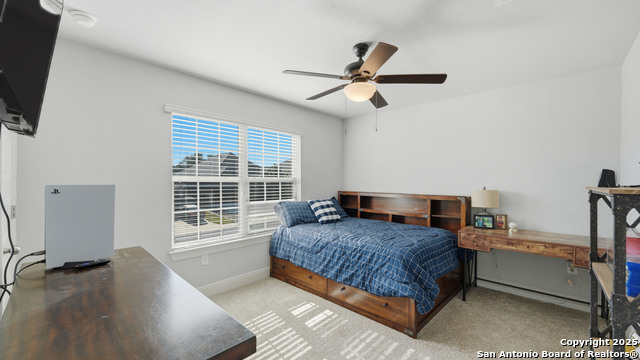 Image 21 of 27 For 255 Bamberger