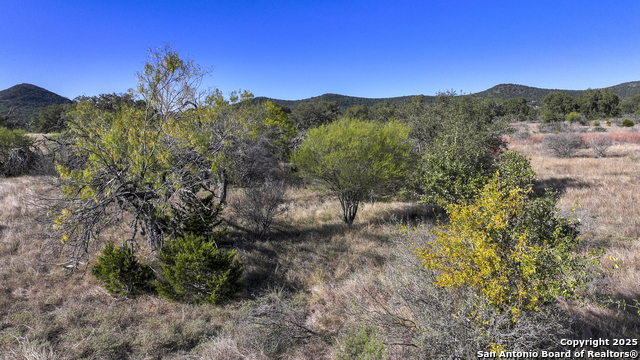 Listing photo id 23 for Lot 1 Sophie Dr