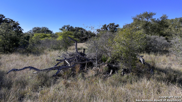 Listing photo id 25 for Lot 1 Sophie Dr