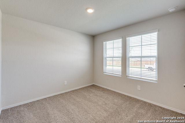 Image 10 of 42 For 1012 Peccary