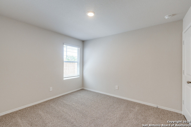 Image 11 of 42 For 1012 Peccary