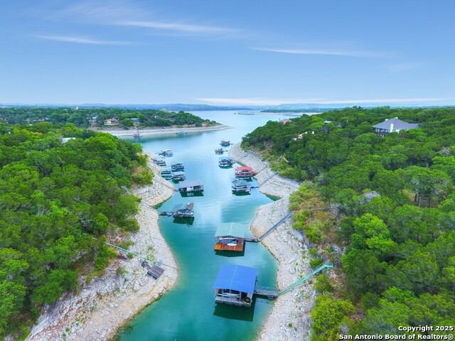 Image 40 of 42 For 1012 Peccary