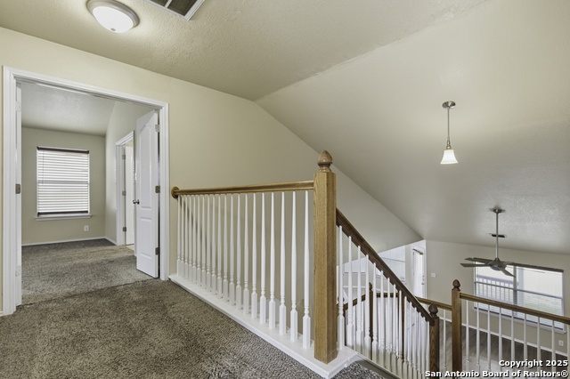 Image 24 of 29 For 9619 Justice