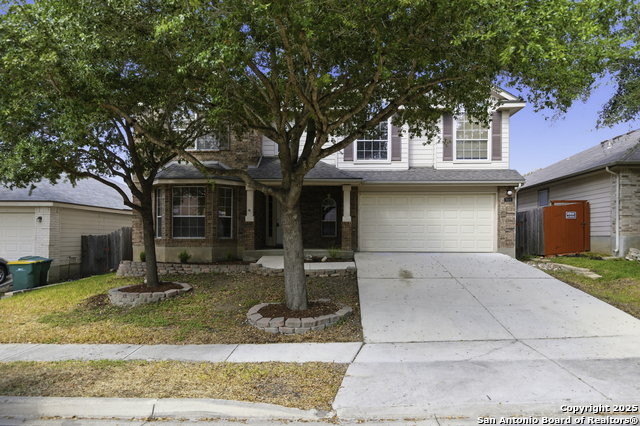 Image 29 of 29 For 9619 Justice