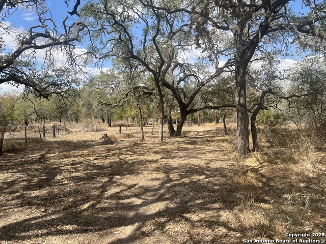 Image 5 of 11 For 1050 Hickory