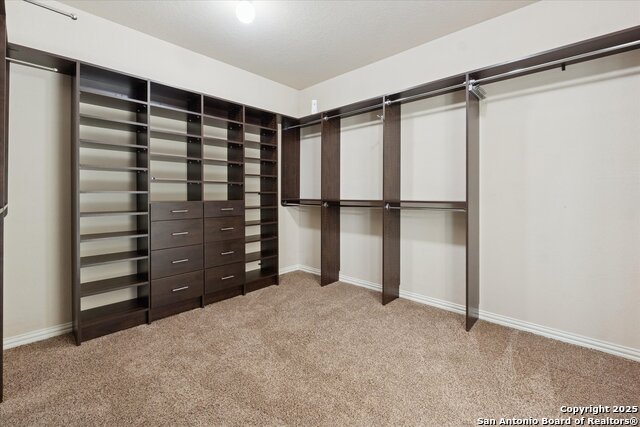 Image 19 of 29 For 10269 Shadowy Dusk