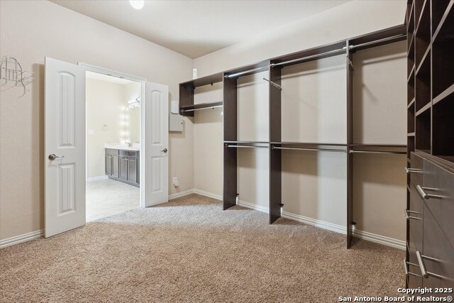 Image 20 of 29 For 10269 Shadowy Dusk