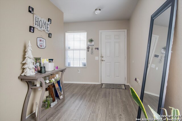 Image 5 of 20 For 11635 Tiger Woods