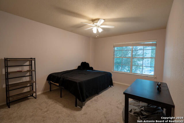 Image 10 of 17 For 519 Donalan Dr