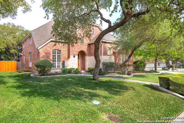 Image 2 of 40 For 406 Penstemon