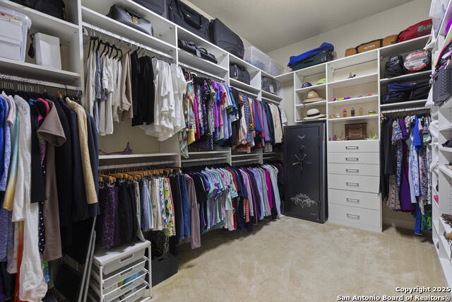 Image 23 of 40 For 406 Penstemon