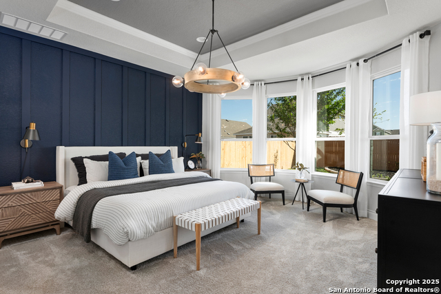 Image 19 of 40 For 4847 Conch Shell