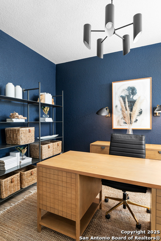 Image 16 of 40 For 4859 Conch Shell