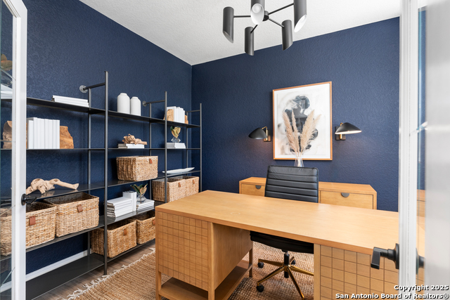 Image 18 of 40 For 4859 Conch Shell