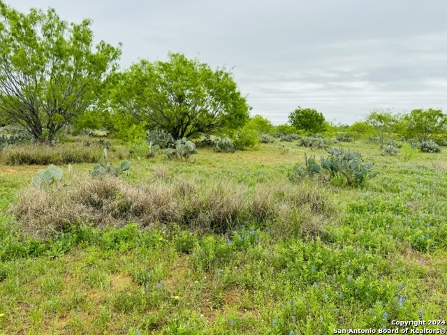 Image 8 of 12 For Tbd Fm 1582