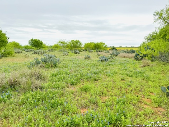 Image 9 of 12 For Tbd Fm 1582