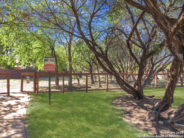 Image 28 of 28 For 6905 Terra Rye