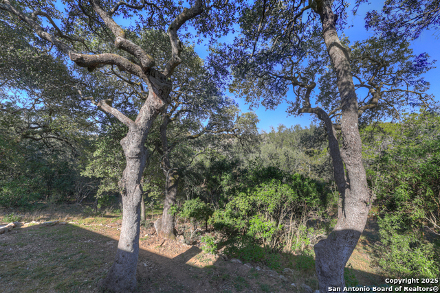 Image 48 of 62 For 509 Moonlight Circle