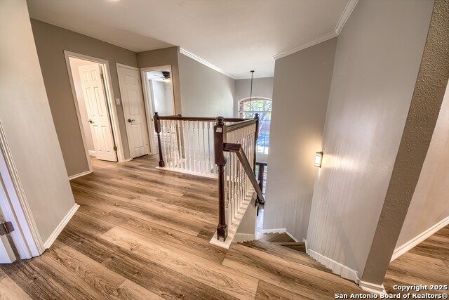 Image 19 of 37 For 42 Spring Lake