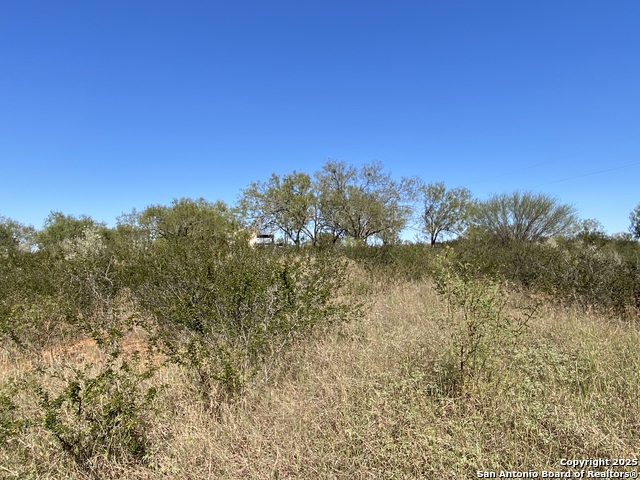 Image 11 of 12 For 146 Cr 2666