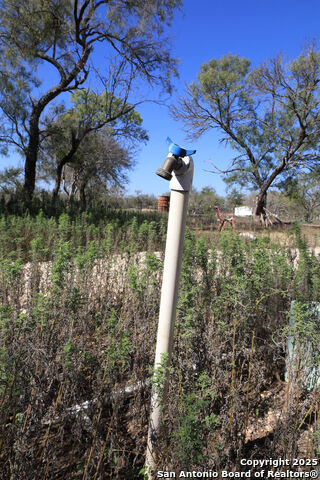 Image 18 of 22 For 391 County Road 445