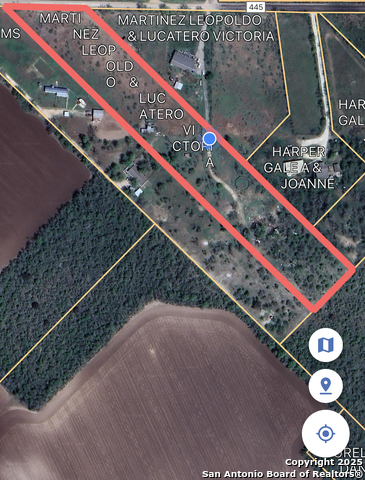 Image 19 of 22 For 391 County Road 445