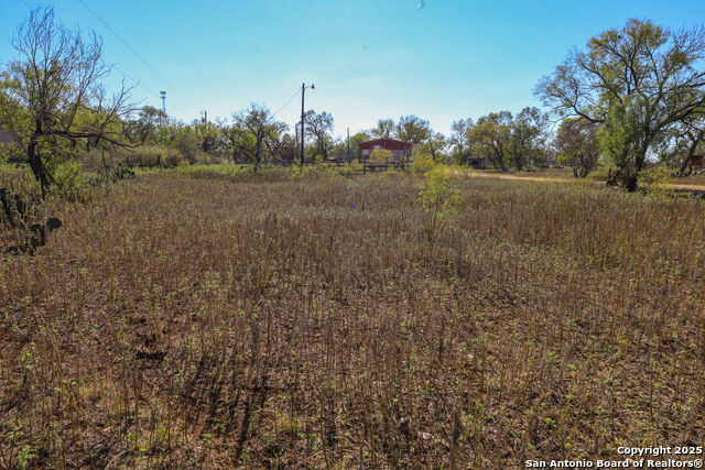 Image 22 of 22 For 391 County Road 445