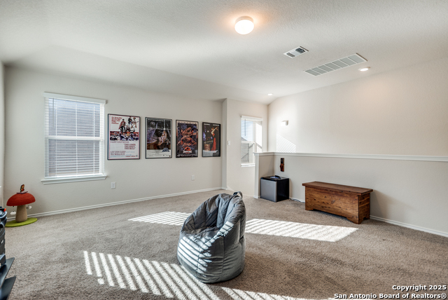 Image 14 of 29 For 3618 Copper Horse