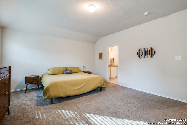 Image 17 of 29 For 3618 Copper Horse