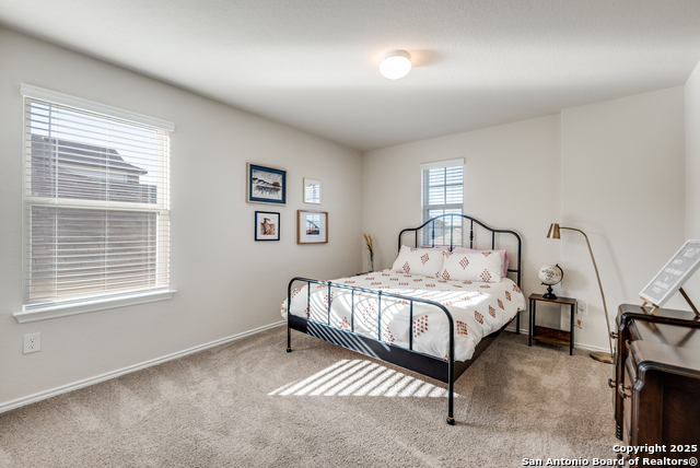 Image 22 of 29 For 3618 Copper Horse