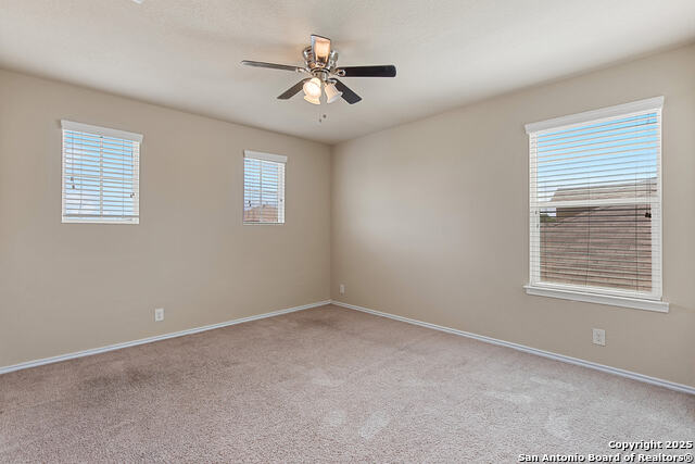 Image 28 of 39 For 9815 Selestat