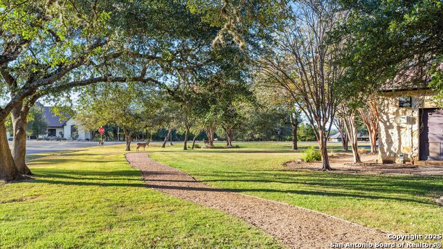 Image 44 of 55 For 411 Cielo Vista