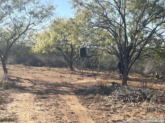 Image 11 of 25 For 3287 Cr 349