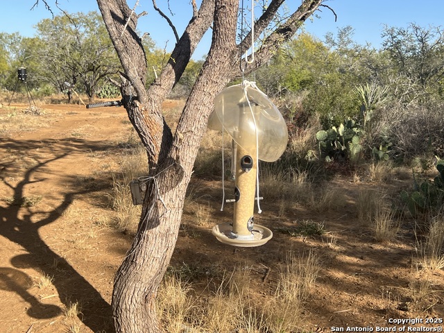 Image 14 of 25 For 3287 Cr 349