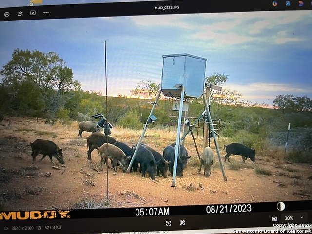 Image 2 of 25 For 3287 Cr 349