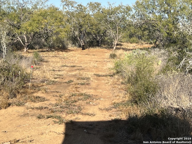 Image 22 of 25 For 3287 Cr 349