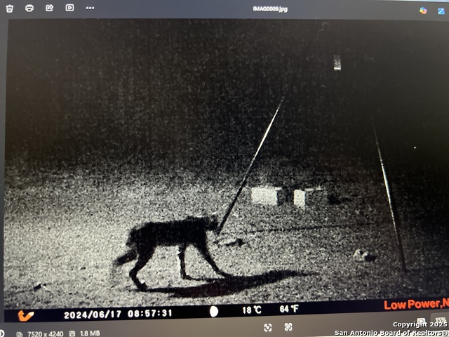 Image 3 of 25 For 3287 Cr 349