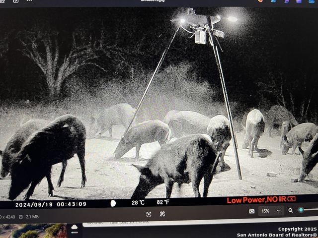 Image 4 of 25 For 3287 Cr 349