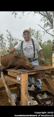 Image 6 of 25 For 3287 Cr 349